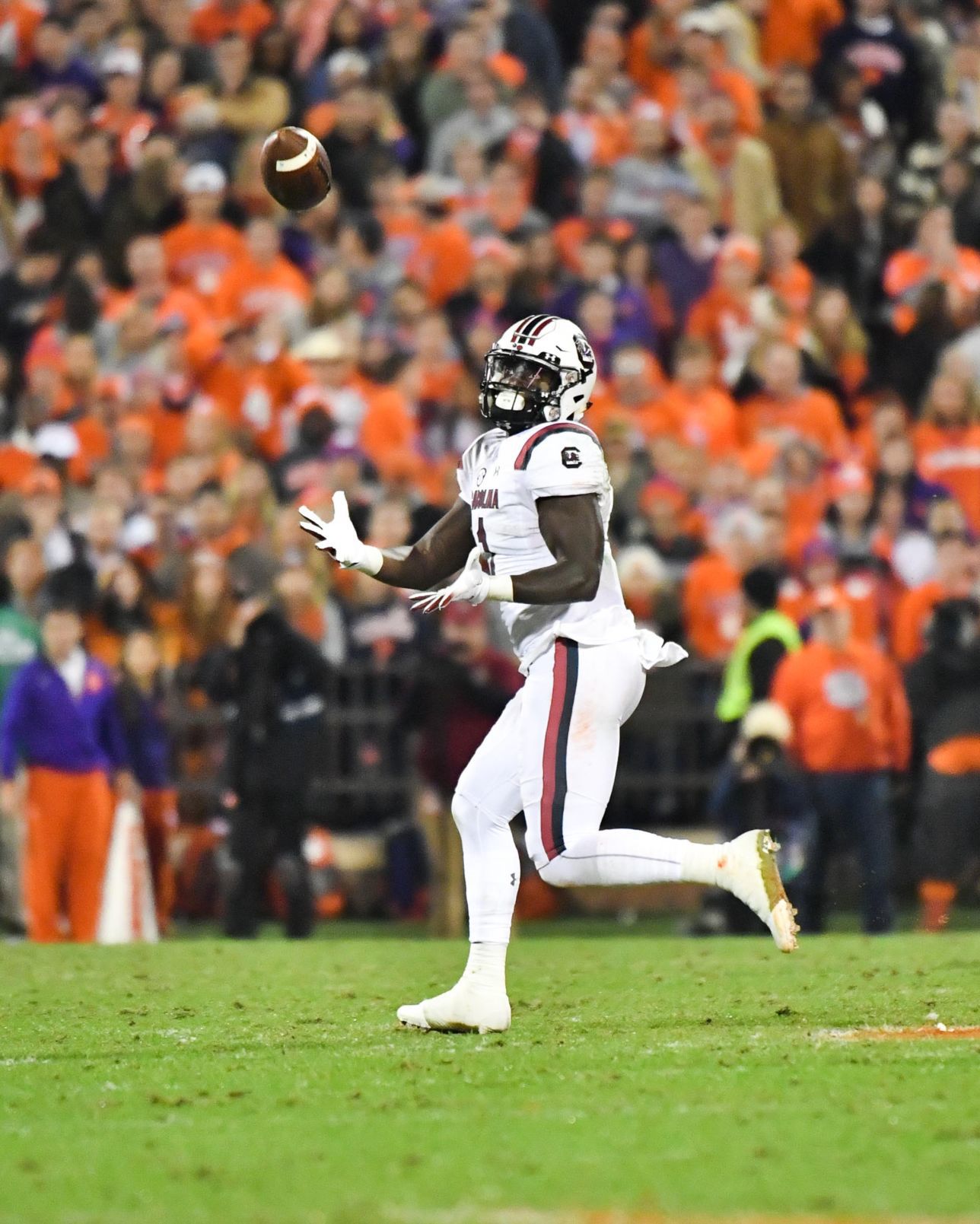 Clemson vs South Carolina 2018-60.jpg